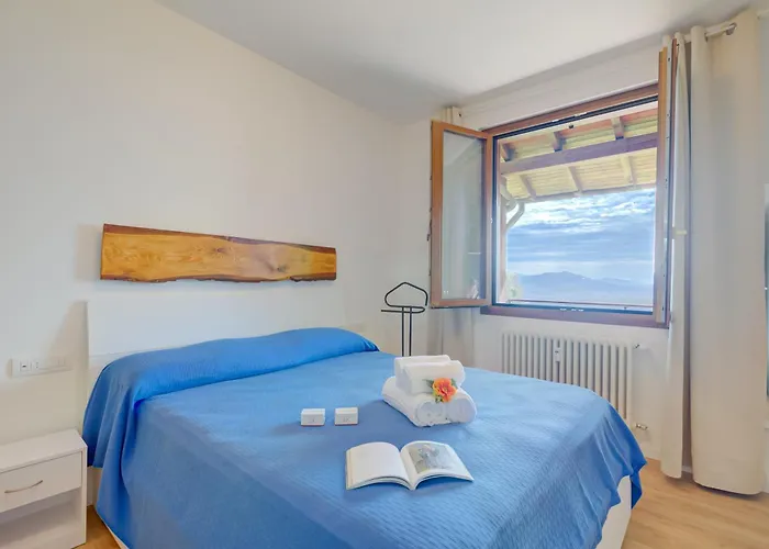 Il Vecchio Faggio - Happy * Gignese