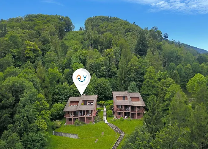 Il Vecchio Faggio - Happy